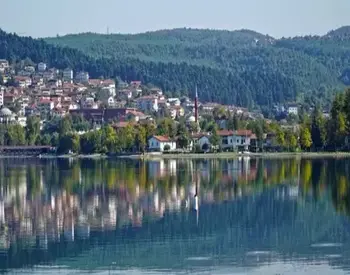 Bilecik Website Tasarımı